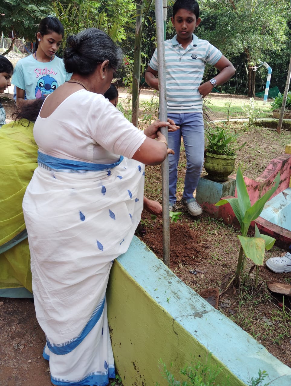 Environment day celebration